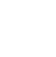 Jungle Gym